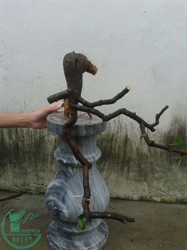 QQͼƬ20150510141752.jpg