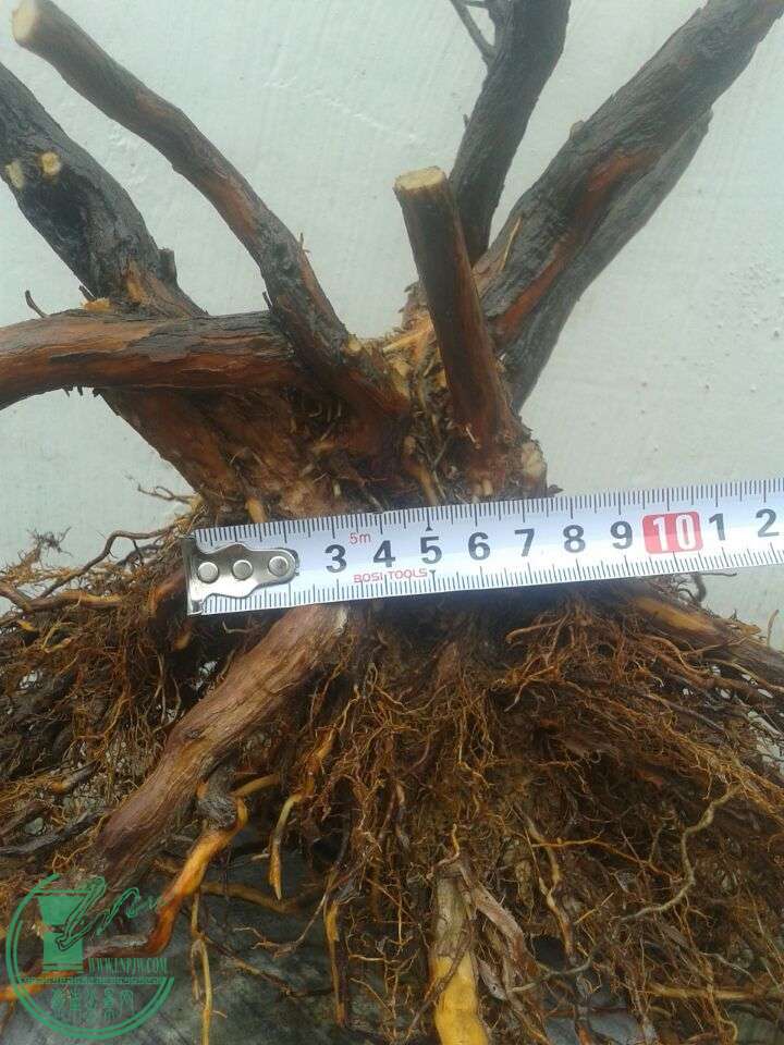 QQͼƬ20150510141828.jpg