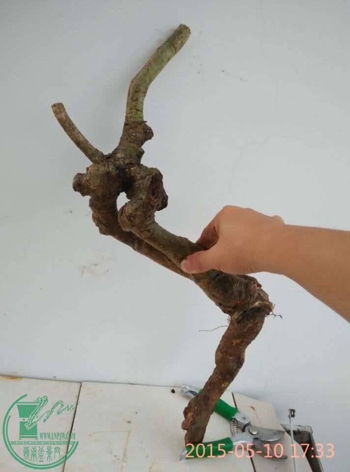 QQͼƬ20150510174959.jpg