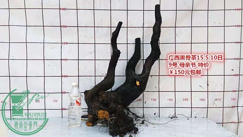 psb (17).jpg