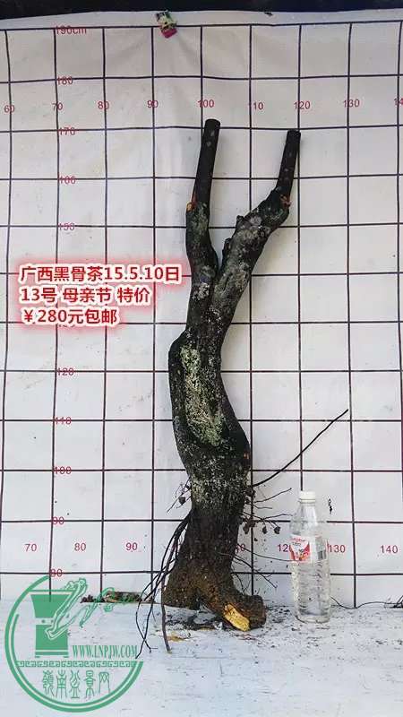 psb (23).jpg