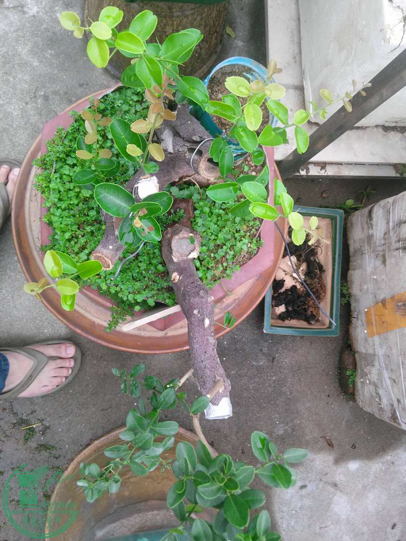 IMG20150505073513.jpg