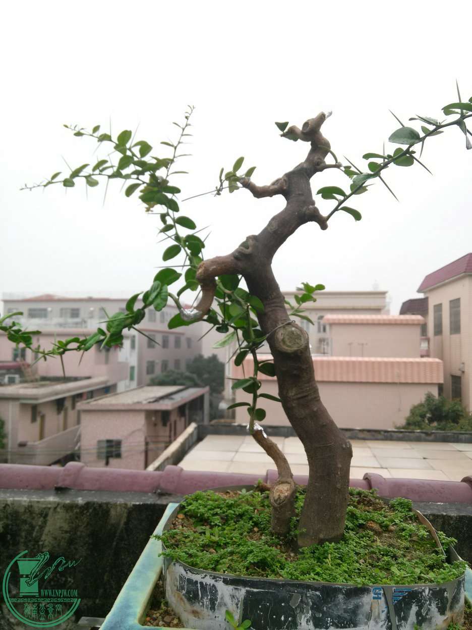 IMG20150510111327.jpg