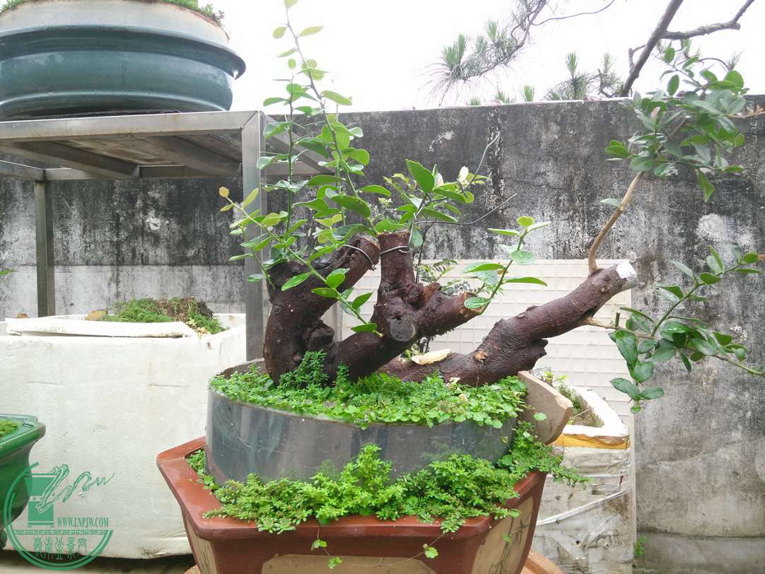 IMG20150510111433.jpg