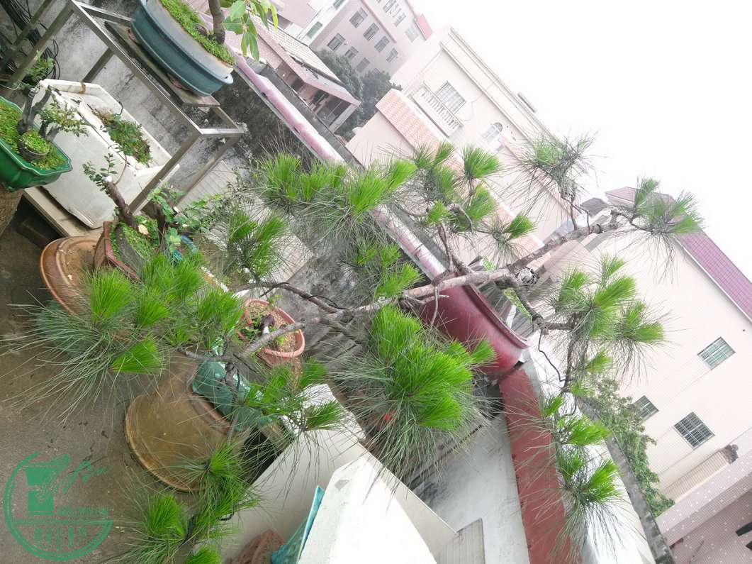 IMG20150510112206.jpg