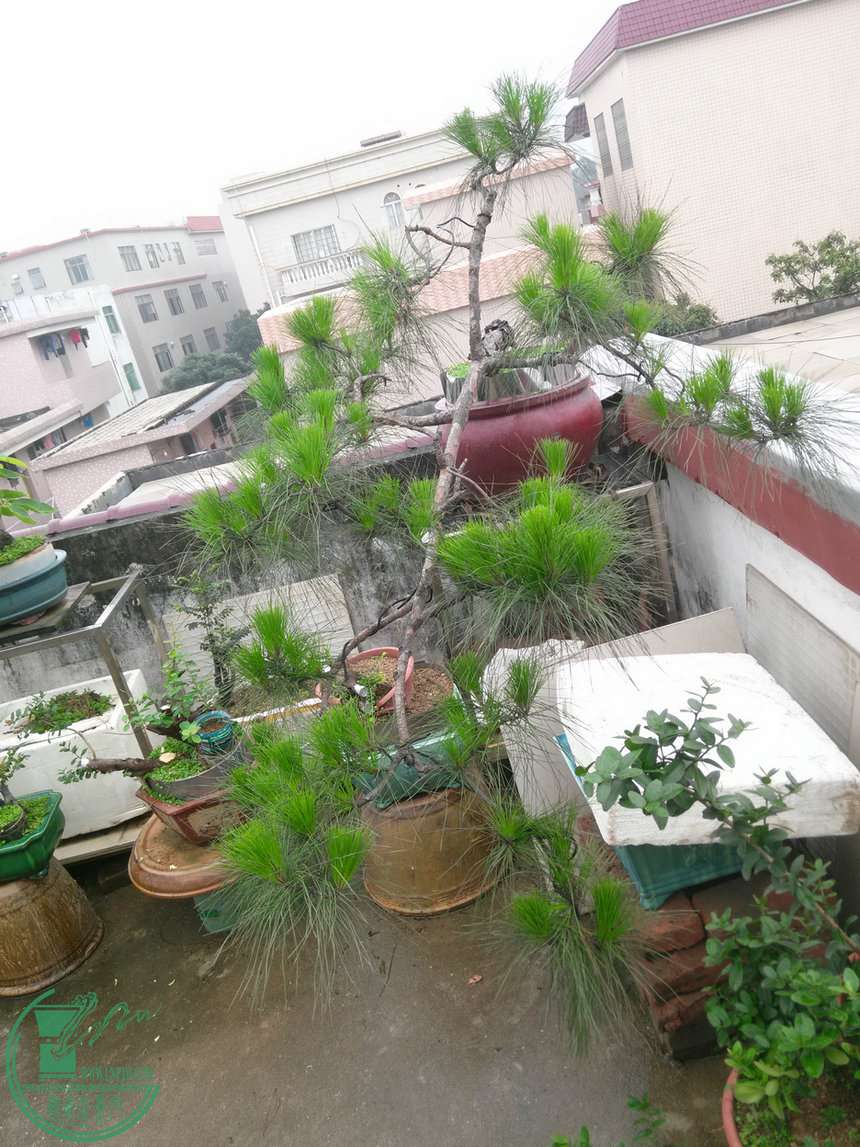 IMG20150510112723.jpg
