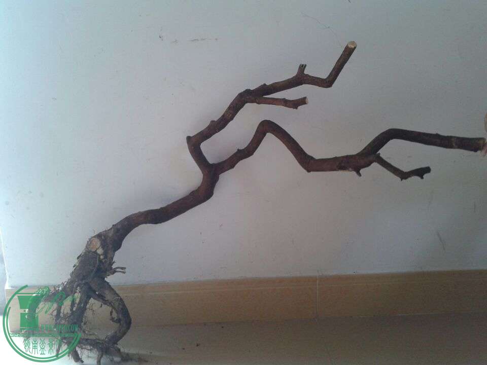 QQͼƬ20150510130125.jpg
