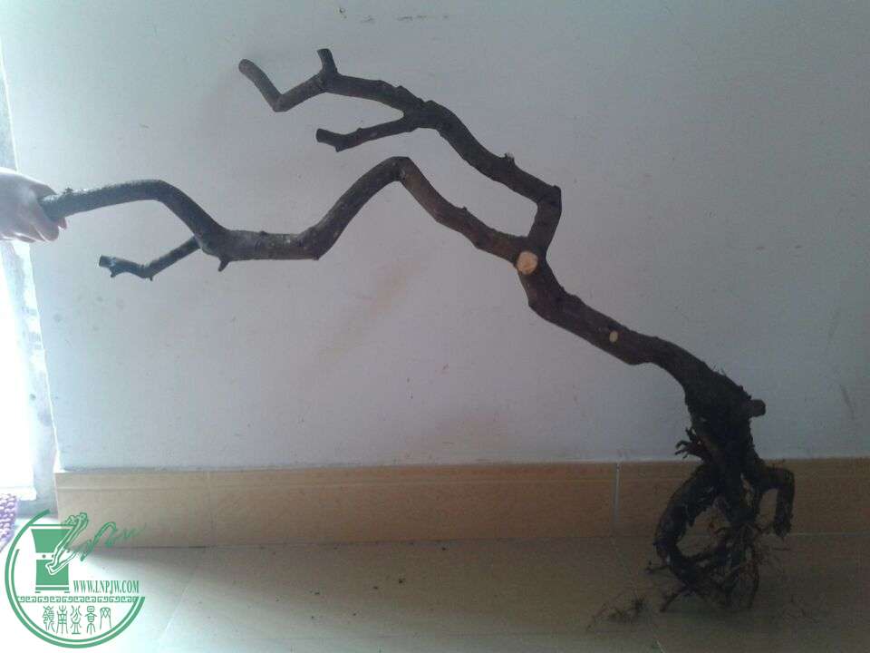 QQͼƬ20150510130121.jpg