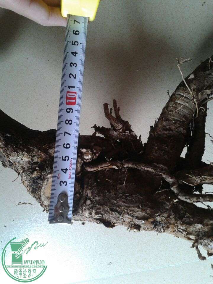 QQͼƬ20150510130130.jpg