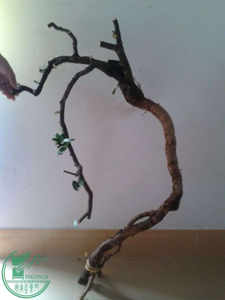 QQͼƬ20150510130113.jpg