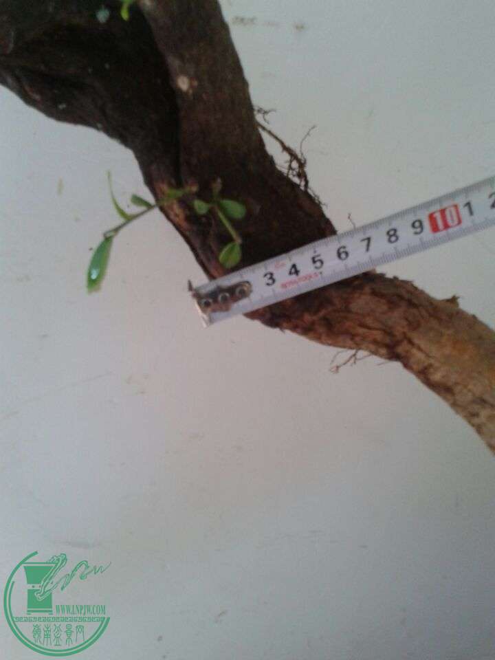 QQͼƬ20150510130117.jpg