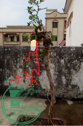 QQͼƬ20150512102750.png