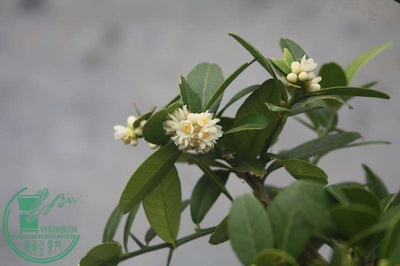 Ƭ20131026ۺ 3201.jpg