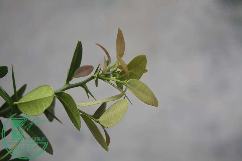Ƭ20131026ۺ 3202.jpg