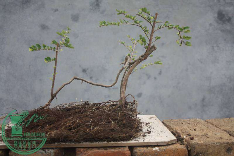Ƭ20131026ۺ 3214.jpg