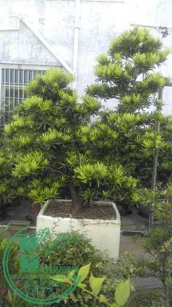 IMAG0349.jpg