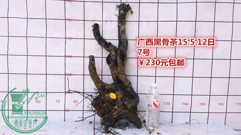 psb (12).jpg