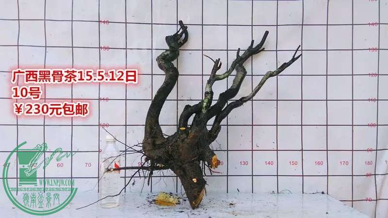 psb (18).jpg