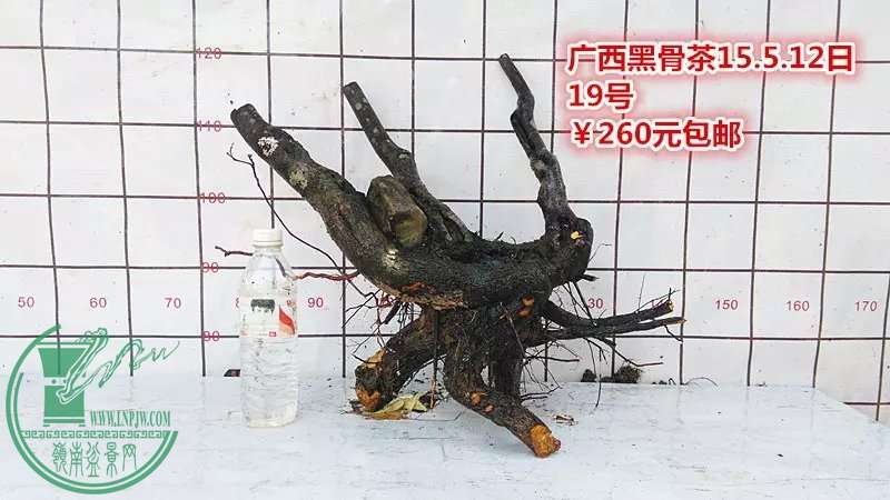 psb (35).jpg