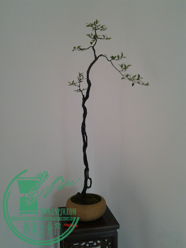 20150423_104130.jpg
