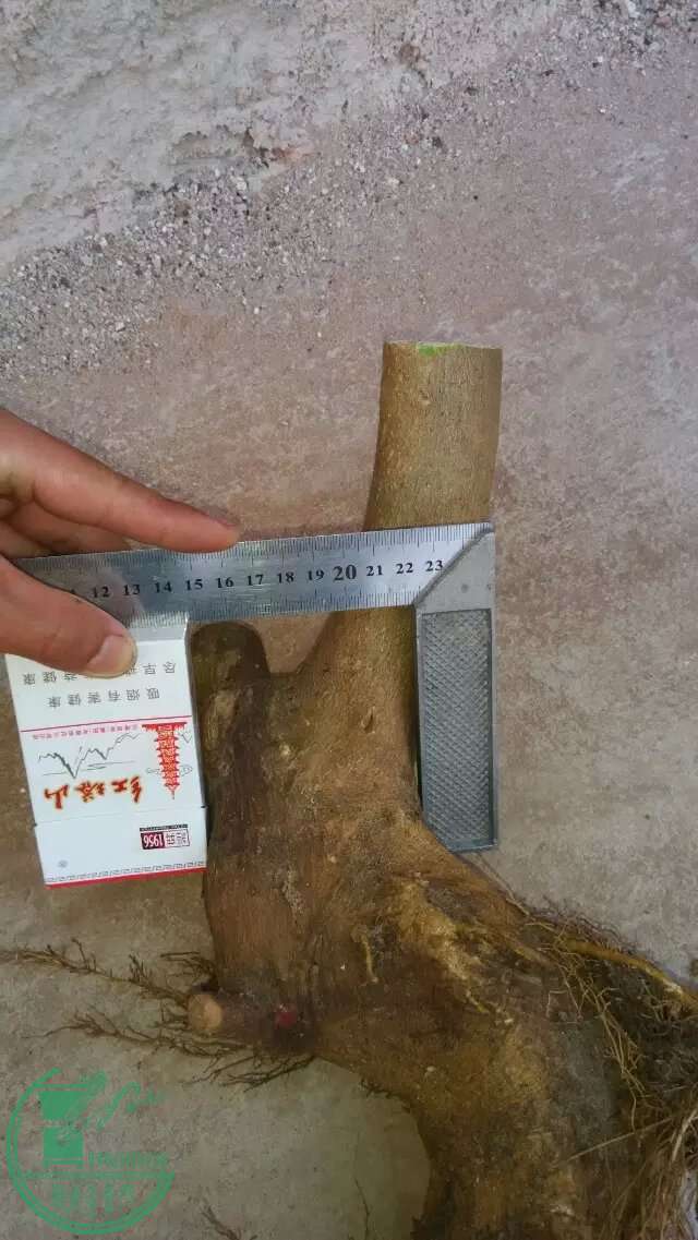 4..jpeg