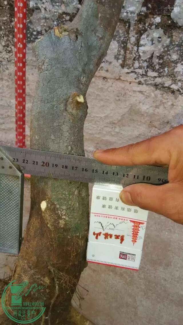 5......jpeg