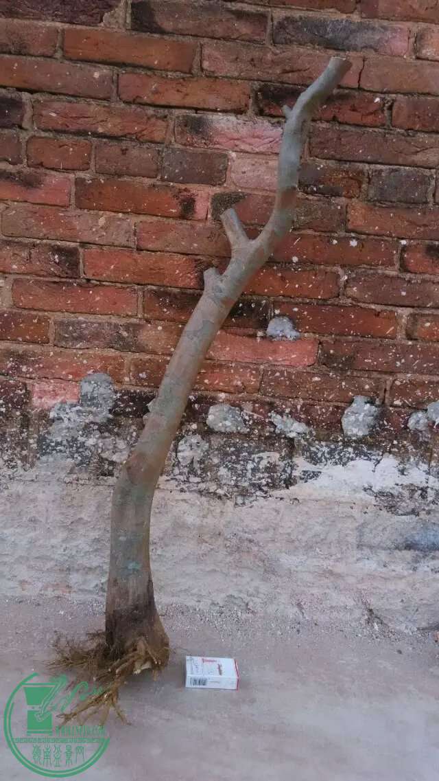 6..jpeg