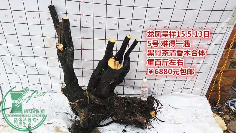 psb (9).jpg