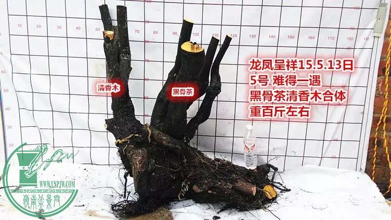 psb (10).jpg