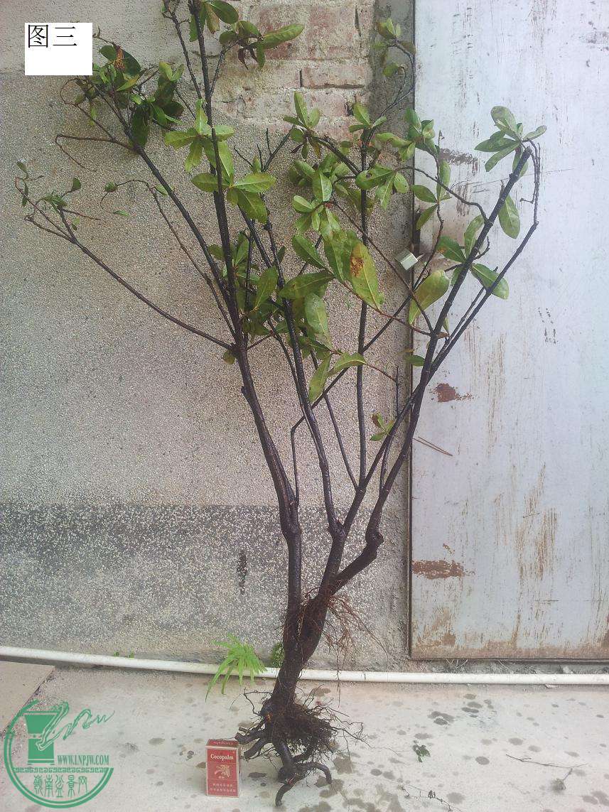 20150514_090013.JPG