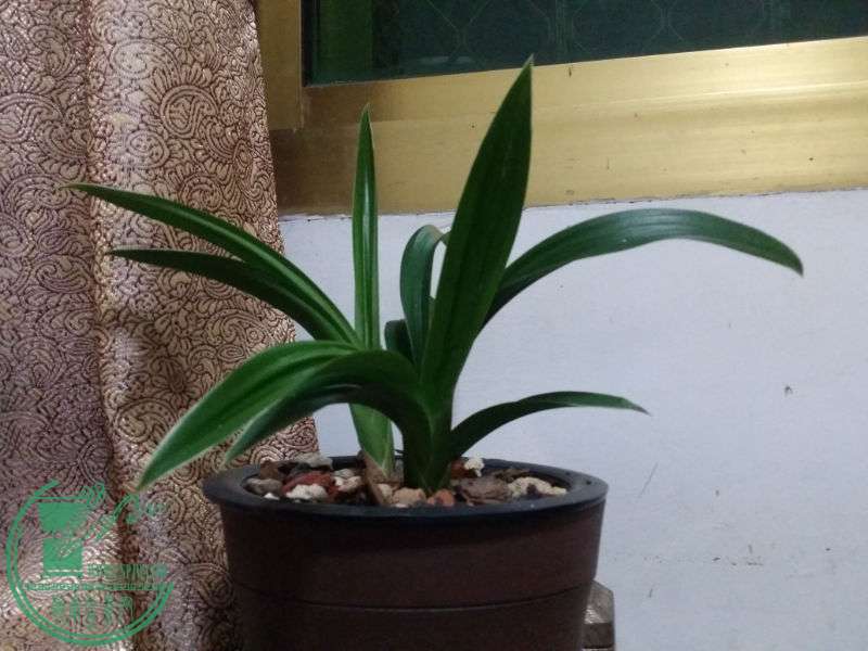20141013_023345.jpg