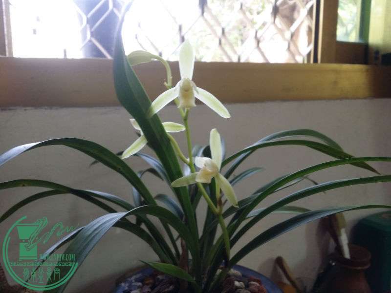 20141126_132555.jpg