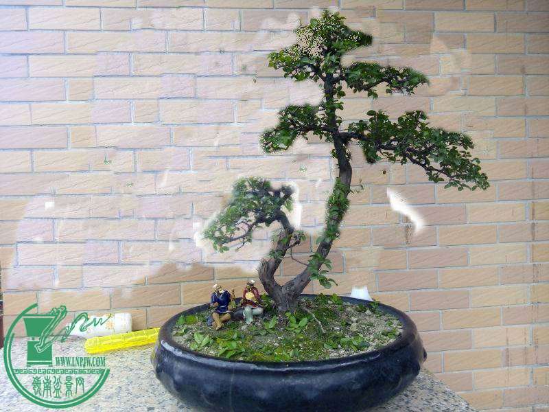 054715pkkrekngqx5ywg33_jpg_thumb.jpg