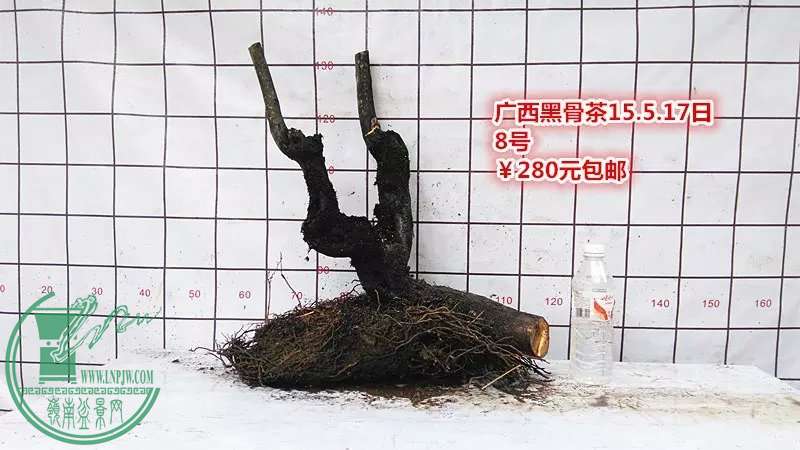 psb (2).jpg