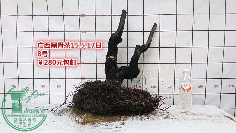 psb (3).jpg