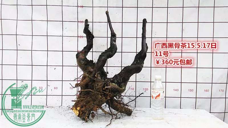 psb (9).jpg