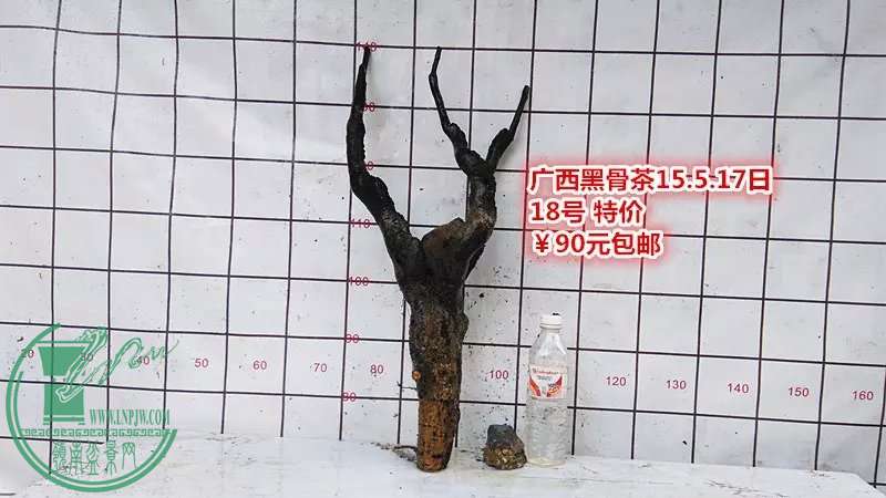 psb (24).jpg