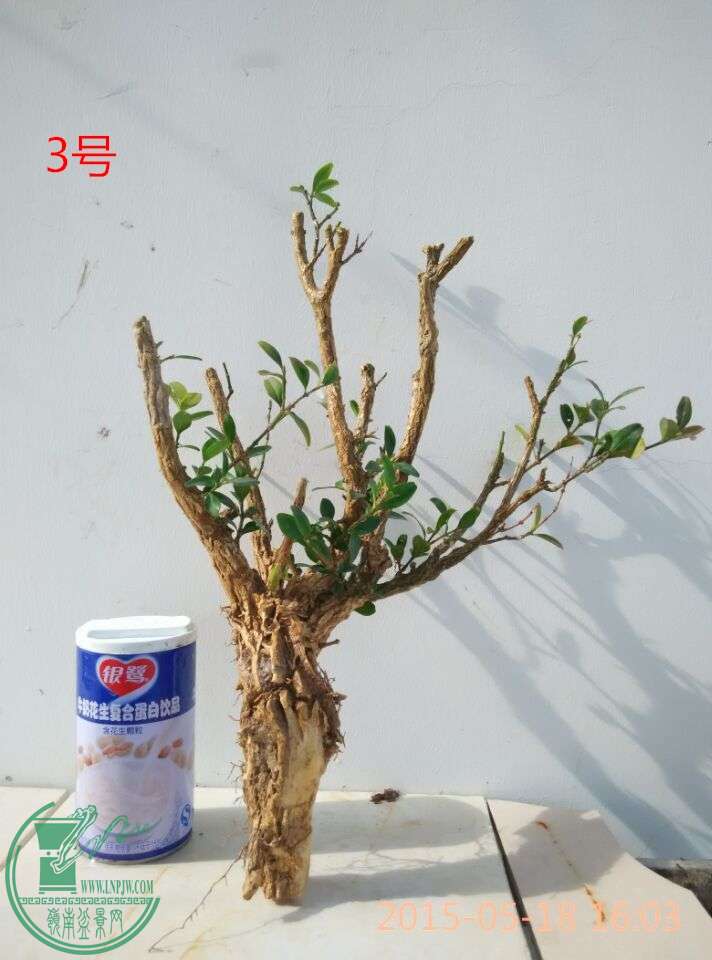 QQͼƬ20150518173139_ͼ.jpg