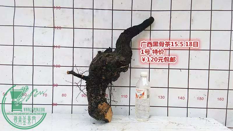 psb (1).jpg