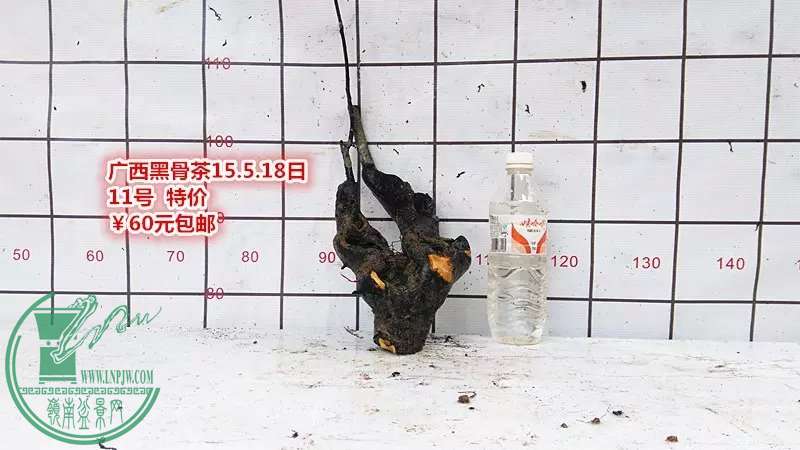 psb (20).jpg