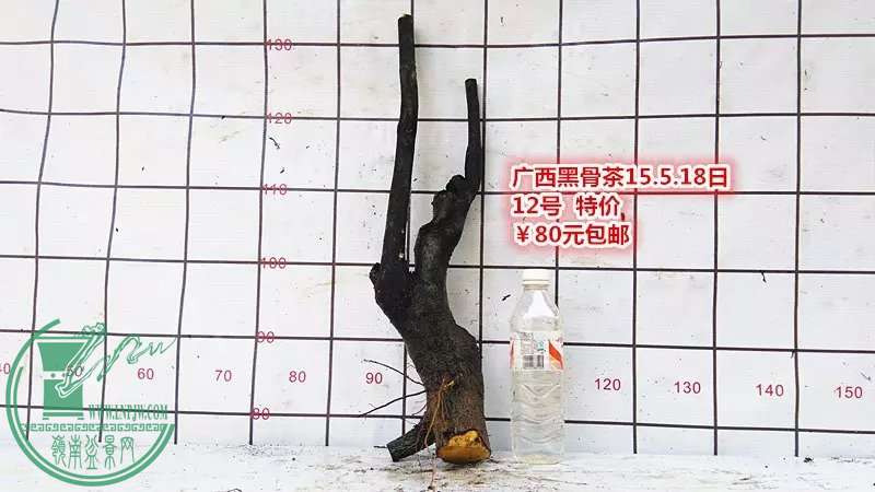 psb (23).jpg
