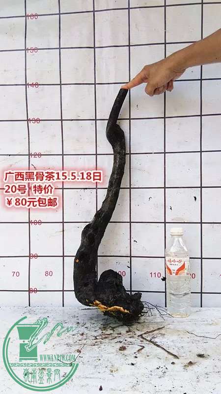psb (37).jpg