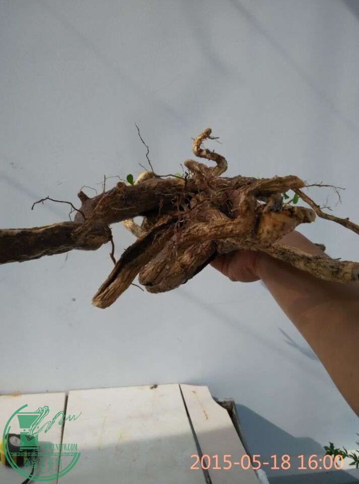 QQͼƬ20150518173122.jpg