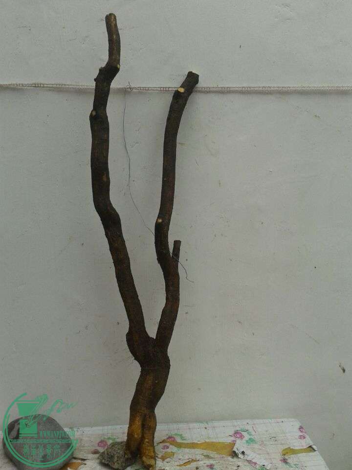 QQͼƬ20150520125240.jpg