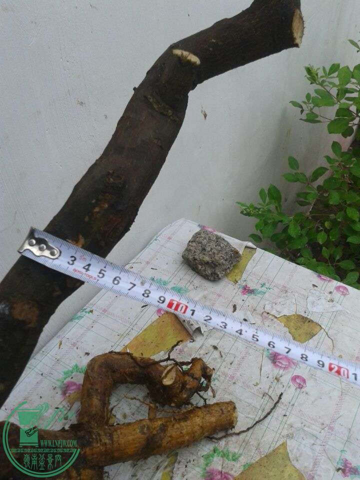 QQͼƬ20150520125351.jpg
