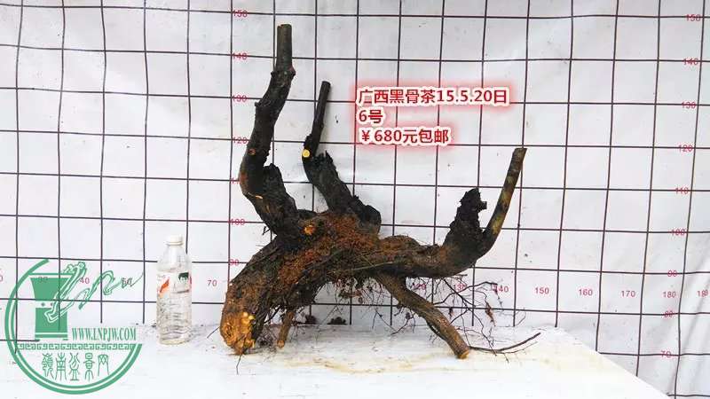 psb (10).jpg