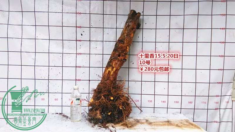psb (18).jpg