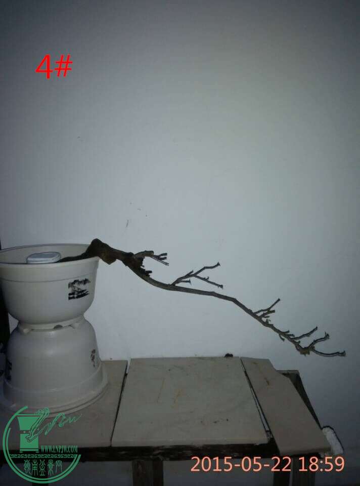 QQͼƬ20150522193103_ͼ.jpg