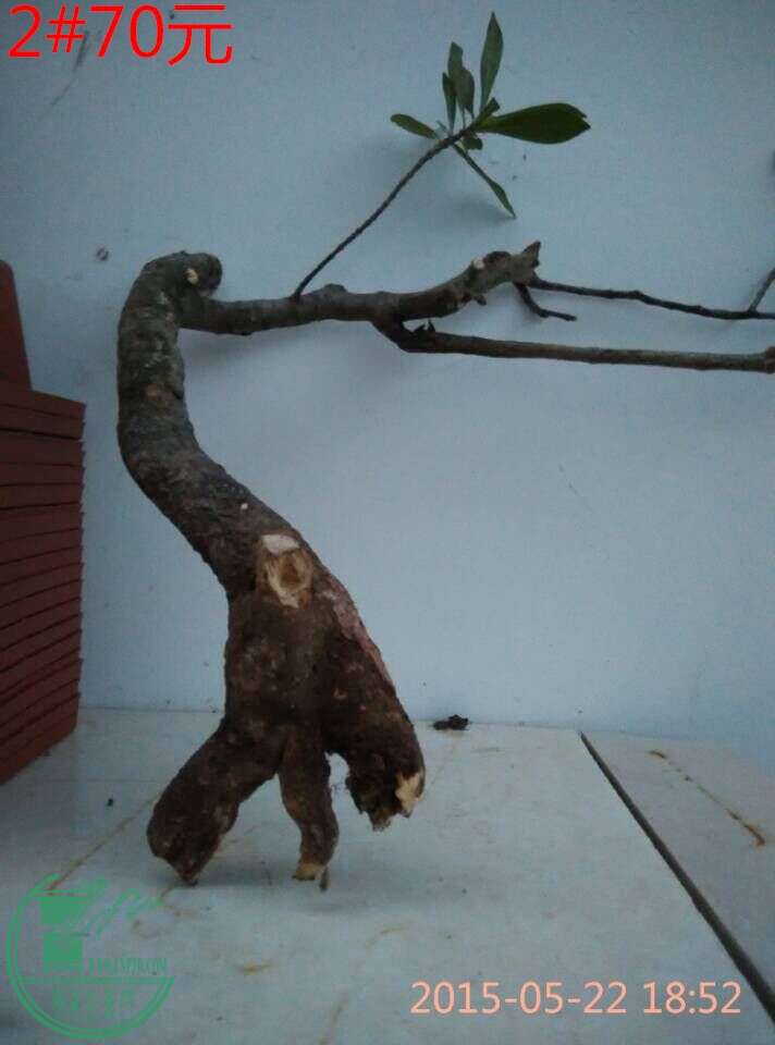 QQͼƬ20150522193114_ͼ.jpg