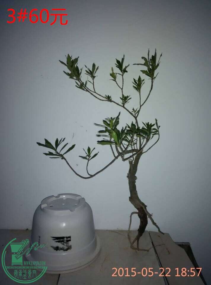 QQͼƬ20150522193128_ͼ.jpg